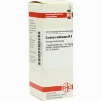 Carduus Mar D8 Dilution 20 ml