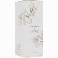 Caudalie Parfum Divin 50 ml