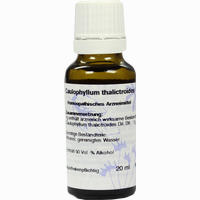 Caulophyllum D6 Dilution 20 ml