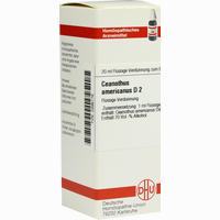 Ceanothus Amer D2 Dilution 20 ml
