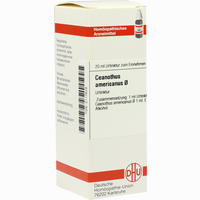 Ceanothus Amer Urtinktur Dilution 20 ml