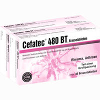 Cefatec 480 Bt Brausetabletten 80 Stück