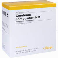 Cerebrum Compositum Nm Ampullen 100 Stück