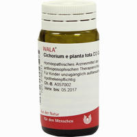 Cichorium E Pl Tota D3 Globuli 20 g