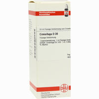 Cimicifuga D30 Dilution 50 ml