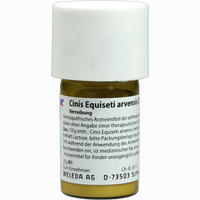 Cinis Equiseti Arvensis D6 Trituration 20 g