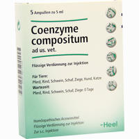 Coenzyme Comp Ad Us Vet Ampullen 5 x 5 ml