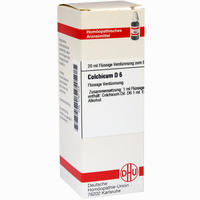 Colchicum D6 Dilution 20 ml
