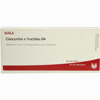 Colocynthis E Fruct D4 Ampullen 10 x 1 ml