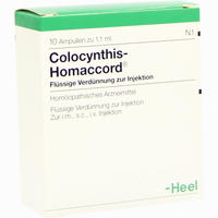 Colocynthis Homaccord Ampullen 10 Stück