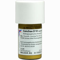 Conchae D10 Trituration 20 g