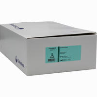 Conveen Kondom Urinal Ultrakurz Latexfrei 30mm 30 Stück