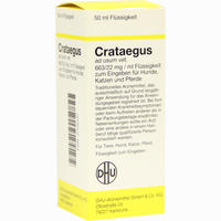 Crataegus Ad Usum Vet Dilution 50 ml