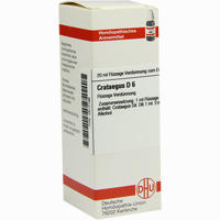 Crataegus D6 Dilution 20 ml