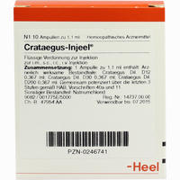 Crataegus- Injeel Ampullen 10 Stück