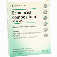 Echinacea Comp Ad Us Vet Ampullen 5 Stück