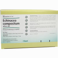 Echinacea Compositum Ad. Us. Vet. Ampullen 50 Stück