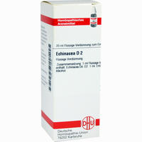 Echinacea D2 Dilution 20 ml