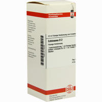 Echinacea D2 Dilution 50 ml