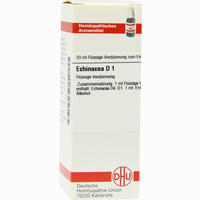 Echinacea (hab) D 1 Dilution 20 ml