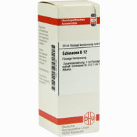 Echinacea (hab) D12 Dilution 20 ml