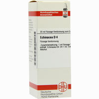 Echinacea (hab) D4 Dilution 20 ml