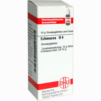 Echinacea (hab) D4 Globuli 10 g