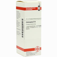 Echinacea (hab) D5 Dilution 20 ml