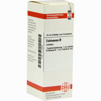 Echinacea (hab) Urtinktur Dilution 20 ml
