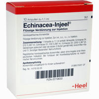 Echinacea Injeel Ampullen 10 Stück