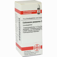 Echinacea Purpur D2 Globuli 10 g