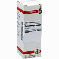 Echinacea Purpur Urtinktur Dilution 20 ml