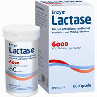 Enzym Lactase 6000 Fcc Kapseln 60 Stück
