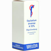 Equisetum Arvense H 10 % Öl 50 ml
