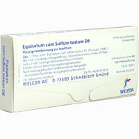 Equisetum C Sulf Tost D6 Ampullen 8 x 1 ml