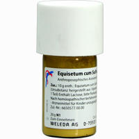 Equisetum C Sulf Tost D6 Trituration 20 g