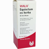 Equisetum Ex Herba W 5% Ol Öl 100 ml