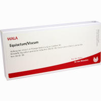 Equisetum/viscum Ampullen 10 x 1 ml