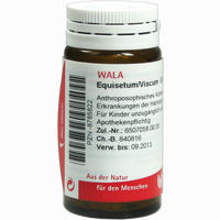 Equisetum/viscum Globuli 20 g
