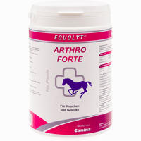 Equolyt Arthro Forte Pulver 500 g