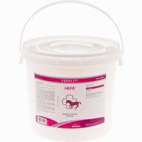 Equolyt Enzym Hefe Pulver 3 KG