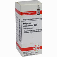 Erigeron Canadensis C30 Globuli 10 g