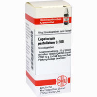 Eupatorium Perf C200 Globuli 10 g