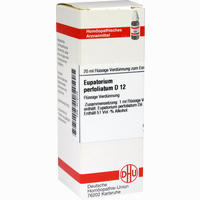 Eupatorium Perf D12 Dilution 20 ml