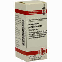 Eupatorium Perf D6 Globuli 10 g