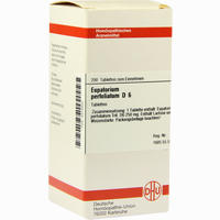 Eupatorium Perf D6 Tabletten 200 Stück
