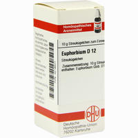 Euphorbium D12 Globuli 10 g