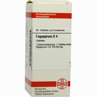 Fagopyrum D4 Tabletten 80 Stück