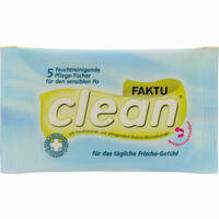 Faktuclean Tücher 5 Stück