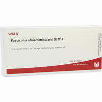 Fasciculus Atrioven Gl D12 Ampullen 10 x 1 ml